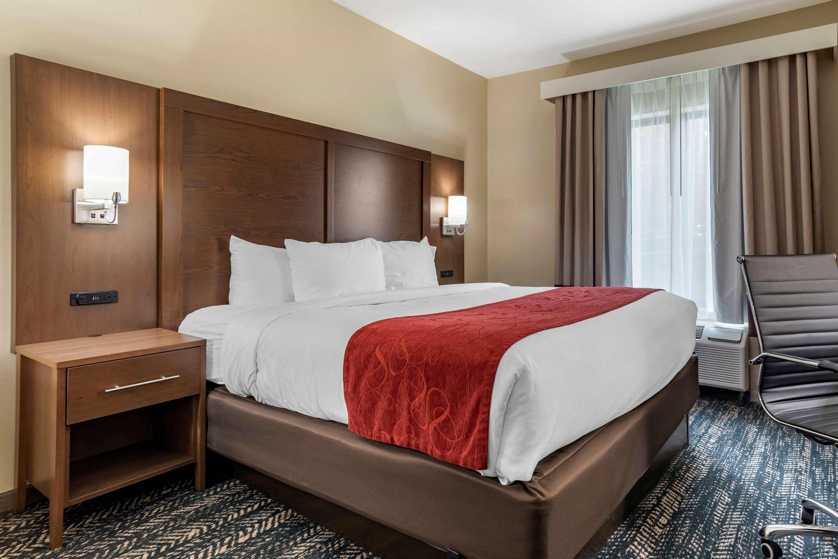 Comfort Inn & Suites Downtown Near University Тъскалуса Екстериор снимка