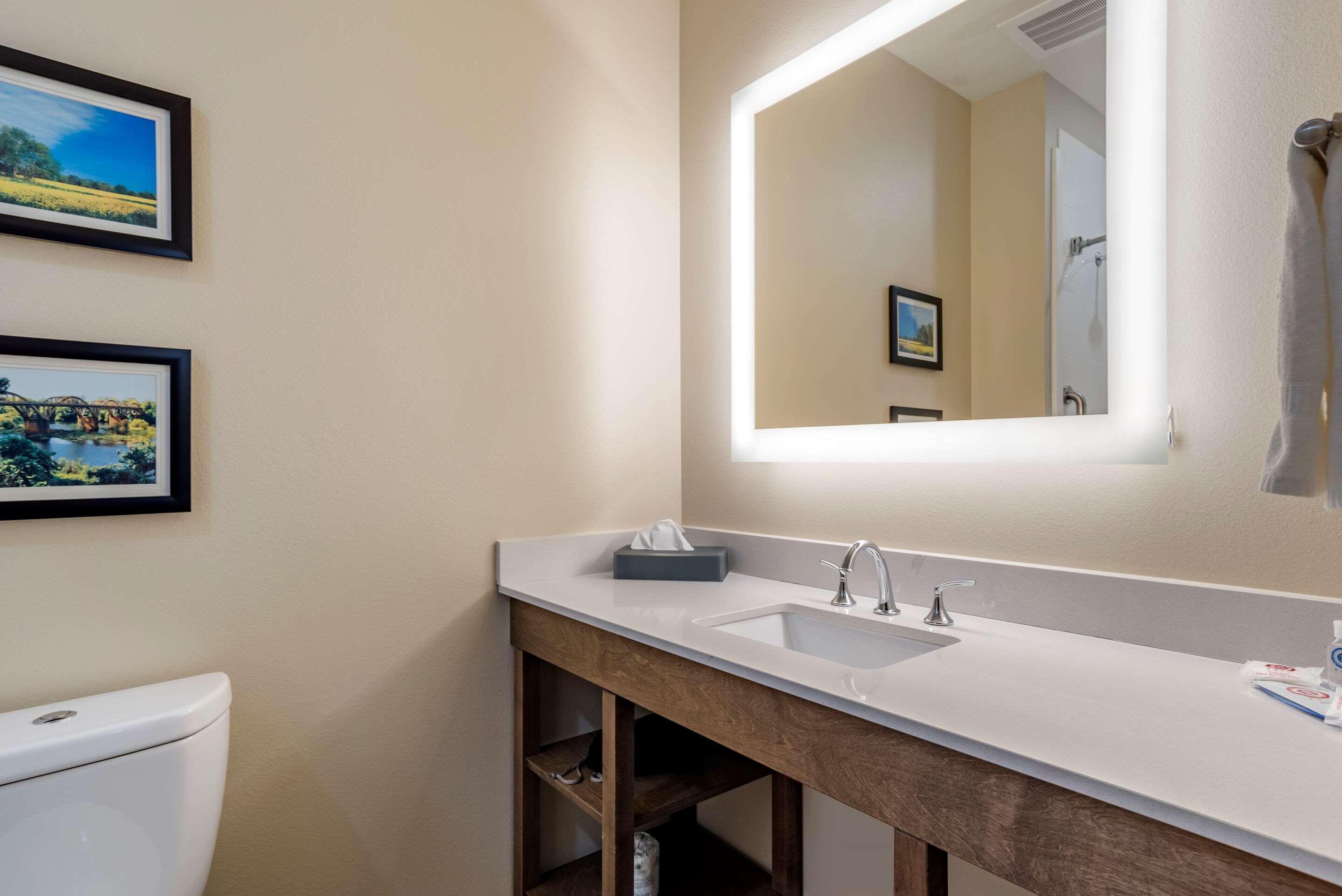 Comfort Inn & Suites Downtown Near University Тъскалуса Екстериор снимка
