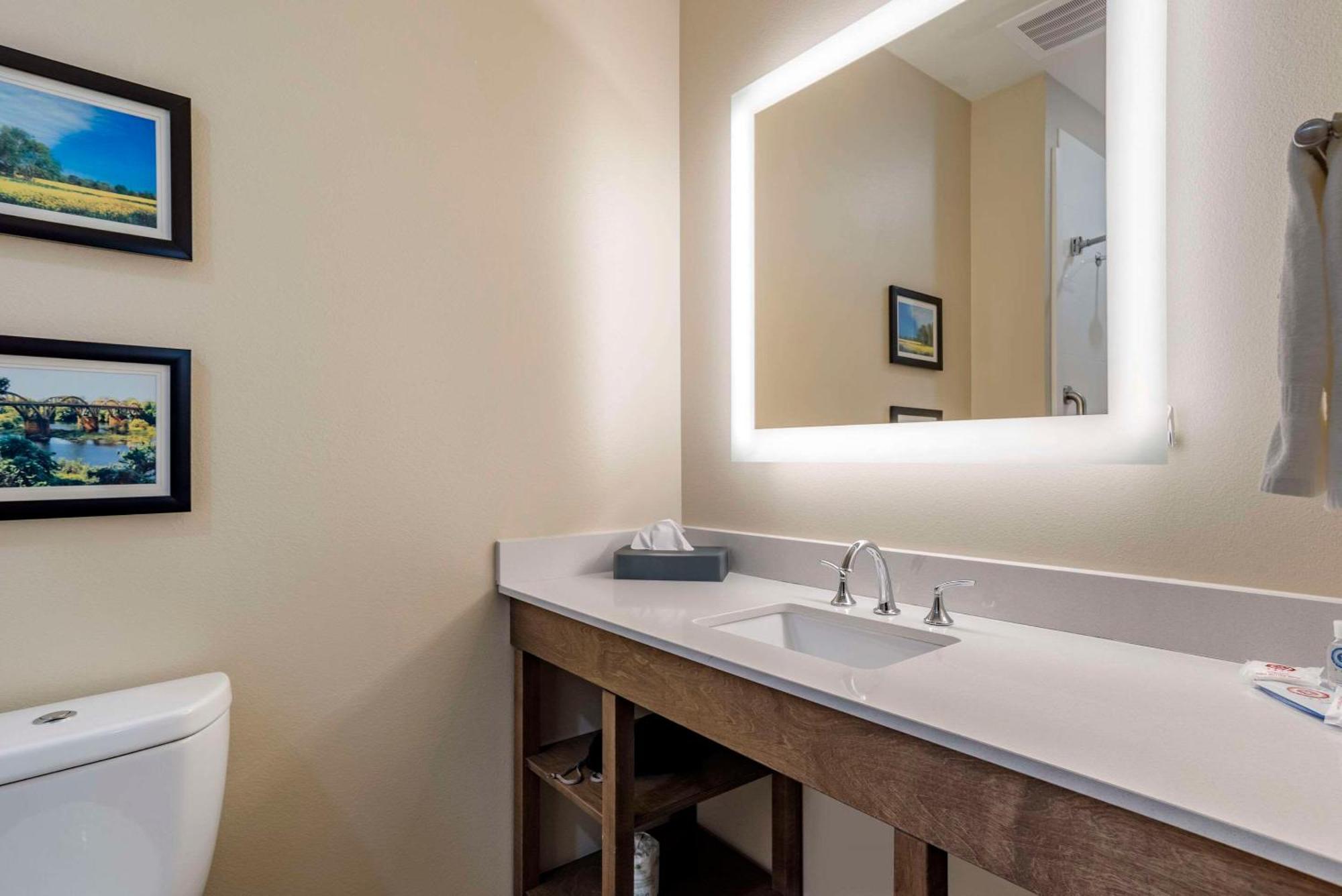 Comfort Inn & Suites Downtown Near University Тъскалуса Екстериор снимка